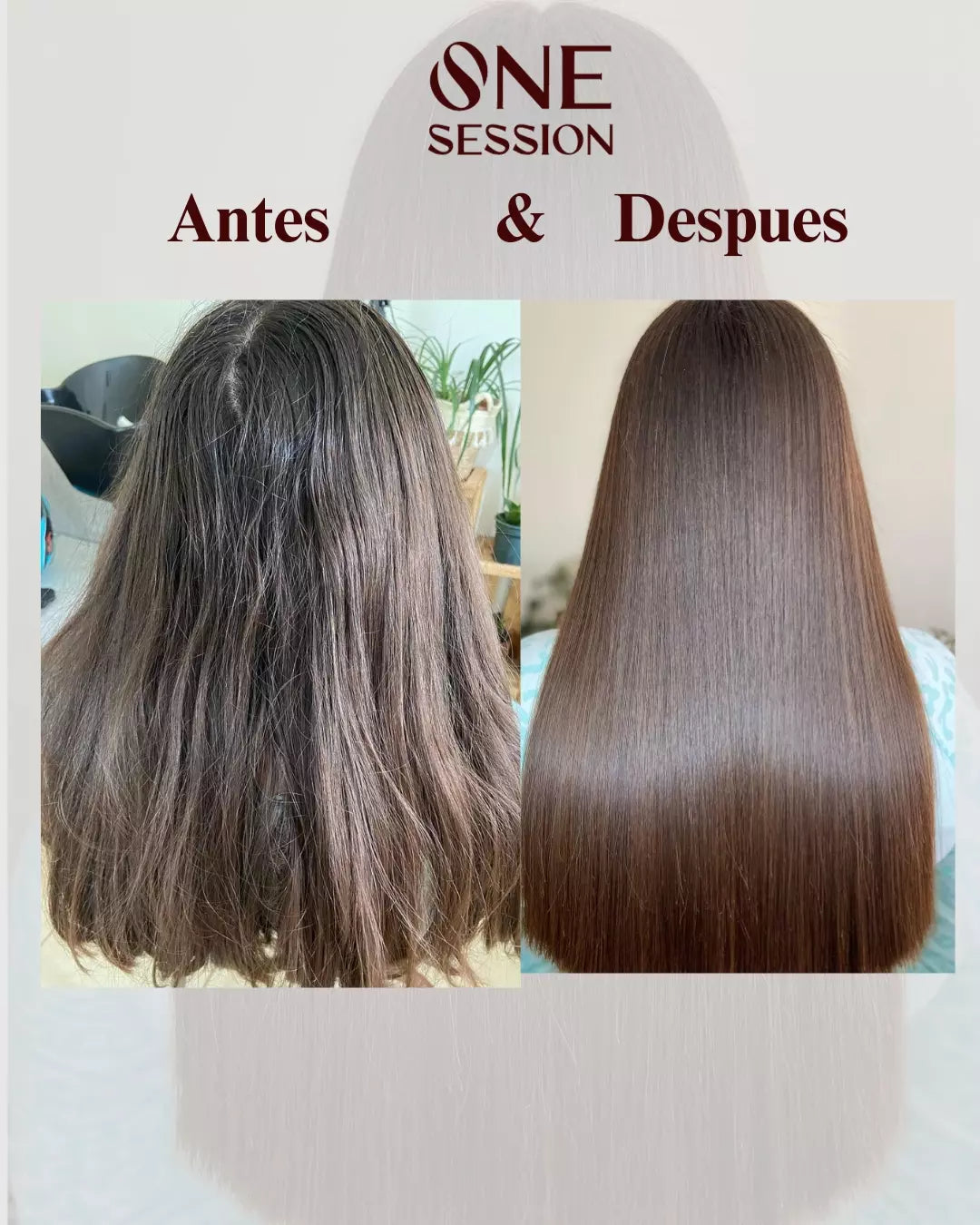 Keratin Powerliss Vegan Kit 250ml Without formaldehyde One